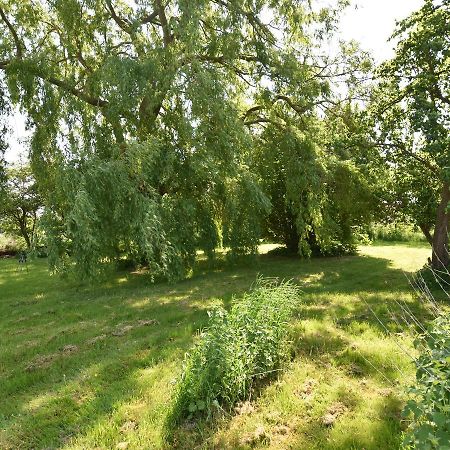 Spacious Holiday Home In Hornstorf With Trampoline Exteriör bild